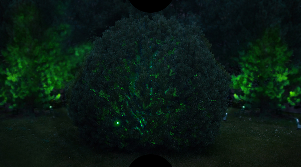 Подсветка деревьев прожекторами
