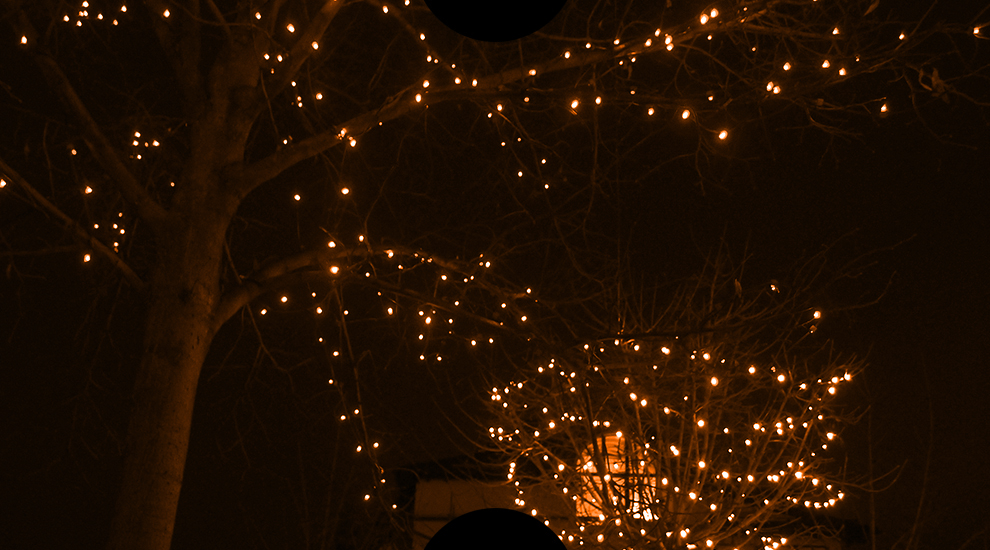 Новогодняя подсветка деревьев